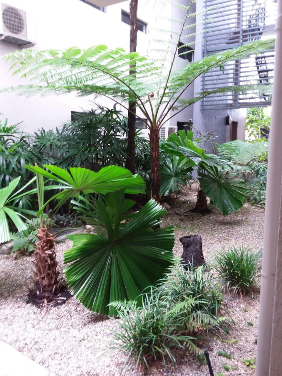 Jackies City Central Apartment Cairns Exterior photo